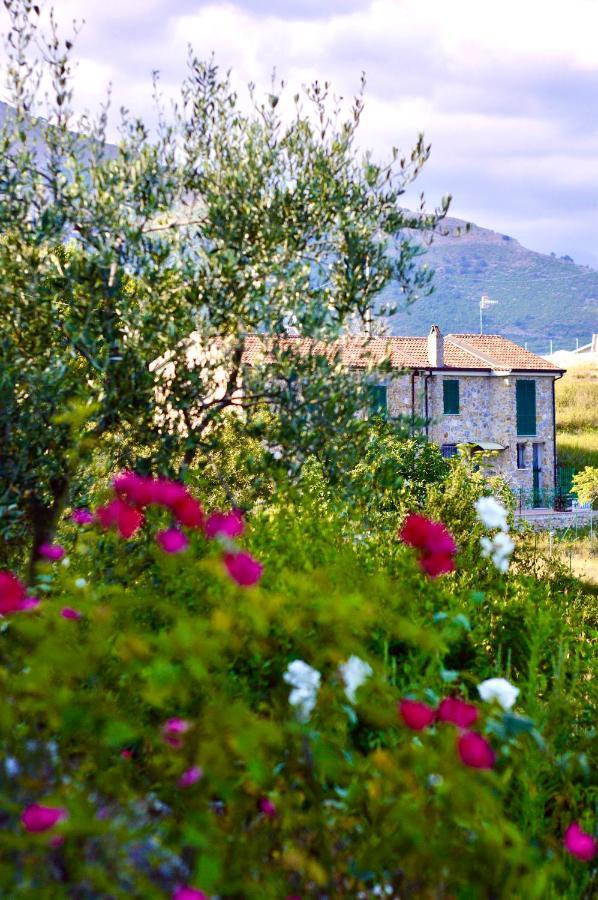 Bed and Breakfast La Riggiola Салерно Экстерьер фото